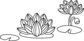 Fleurs 029 - Coloriages fleurs, fruits et légumes - Coloriages - 10doigts.fr